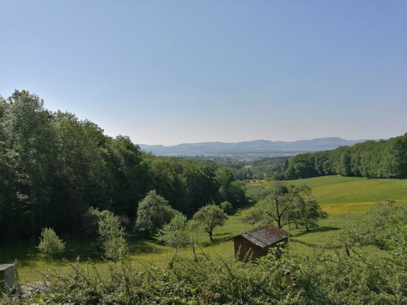 Impressionen