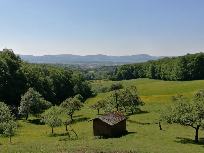 Impressionen