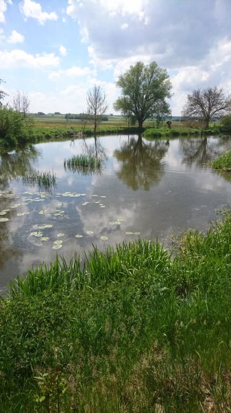 Impressionen
