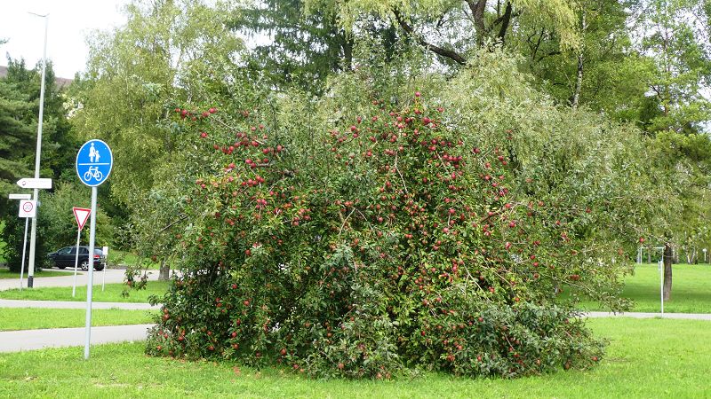 Impressionen